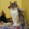 Отзыв от Лариса Некрасова
